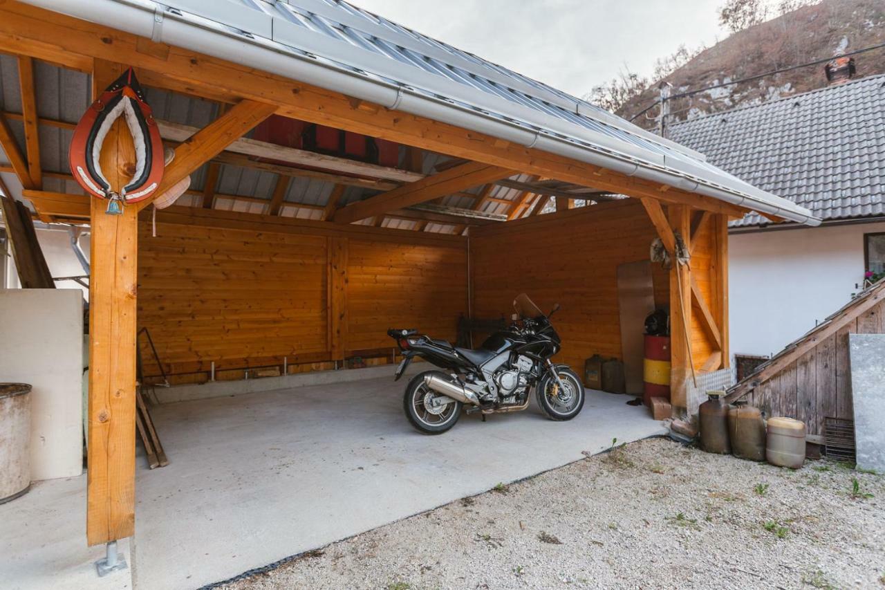 Dominika Appartement Bohinjska Bela